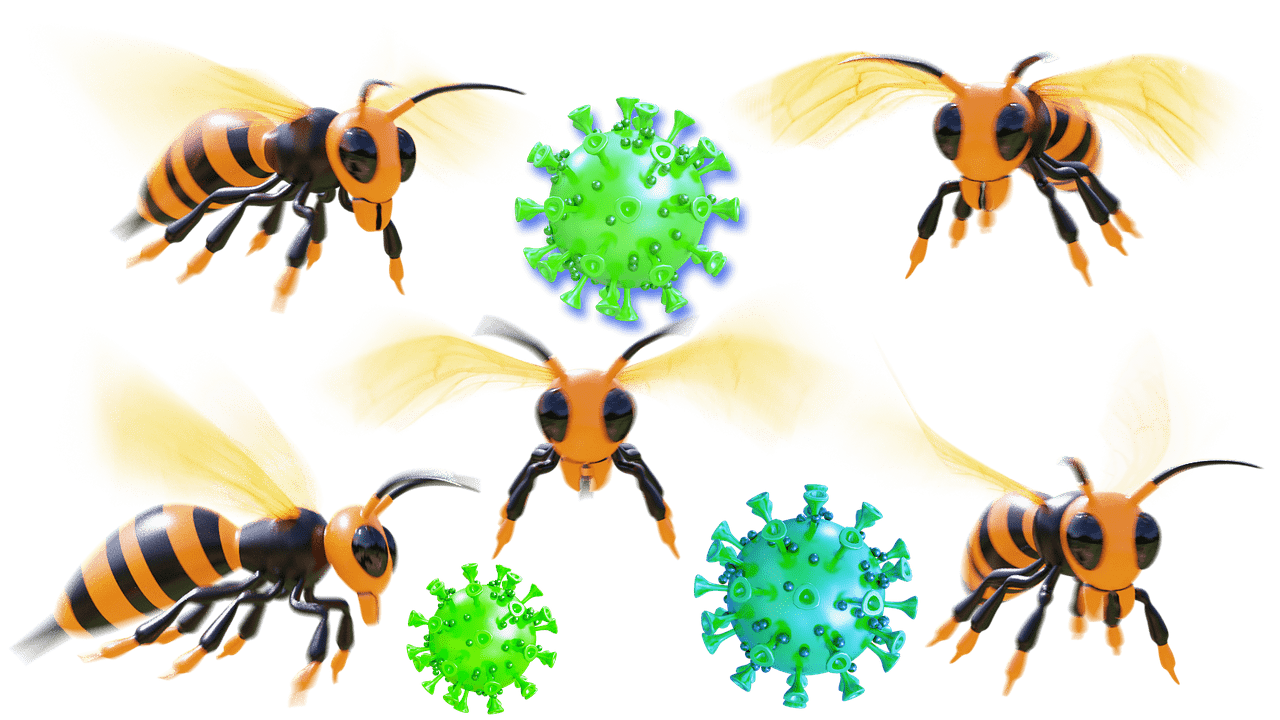 corona-virus-bee