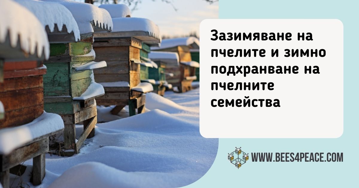 Зазимяване на пчелите